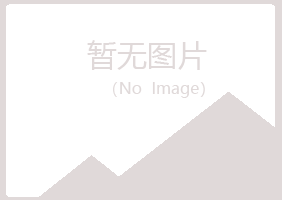 吉林字迹采矿有限公司